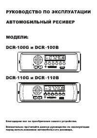 Digma DCR-100B/G