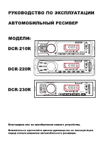 Digma DCR-210R