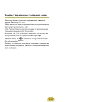 Страница 217