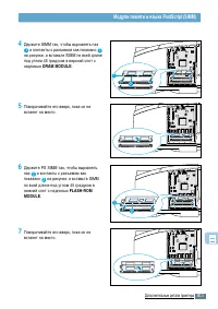 Страница 184