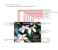 Страница 116