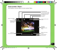 Страница 117