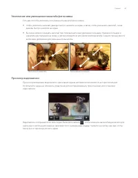 Страница 157