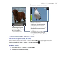 Страница 127