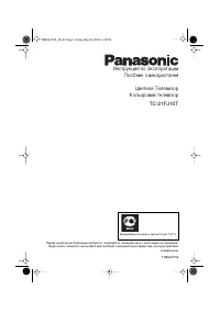 Panasonic TC-21FJ10T
