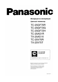 Panasonic TC-25AS1R