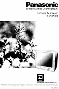Panasonic TX-29P80T