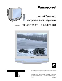 Panasonic TX-29P250T