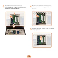 Страница 176