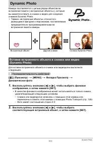 Страница 111