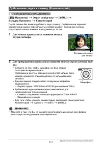 Страница 111