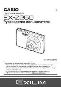 Casio EX-Z250