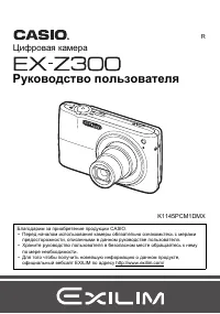 Casio EX-Z300