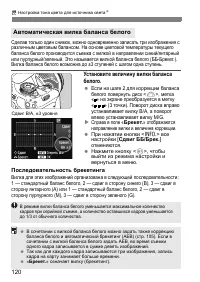 Страница 120