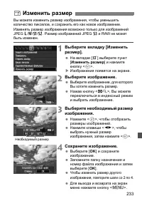 Страница 233