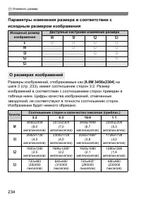 Страница 234