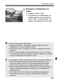 Страница 237