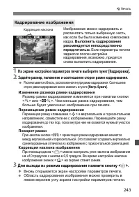 Страница 243