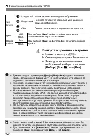 Страница 246