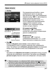 Страница 247