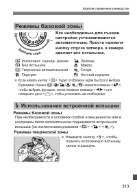 Страница 313