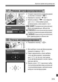 Страница 315