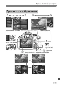 Страница 319