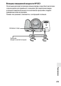Страница 177
