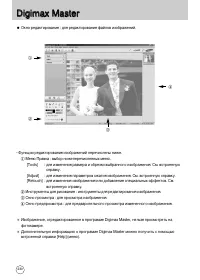 Страница 231