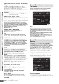 Страница 246