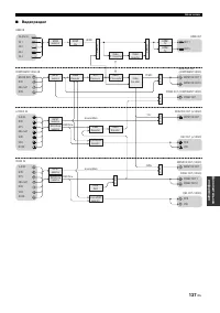 Страница 137