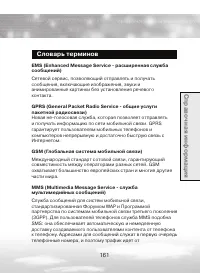 Страница 161