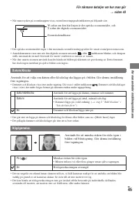Страница 159