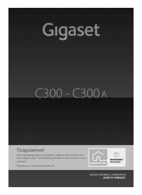 Gigaset C300(A)