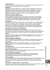 Страница 131