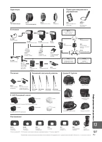 Страница 137