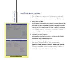 Страница 100