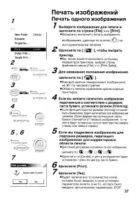 Страница 137