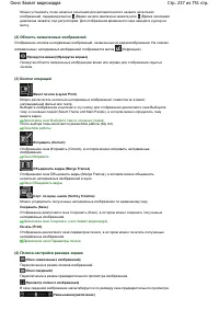 Страница 237