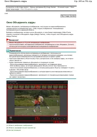 Страница 243