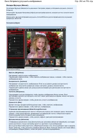 Страница 251