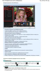 Страница 253