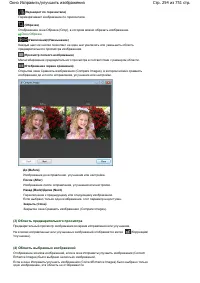 Страница 254