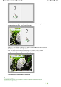 Страница 462