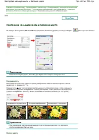 Страница 482