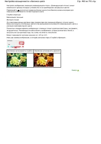 Страница 483