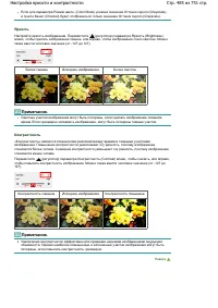 Страница 485