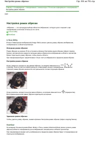 Страница 531