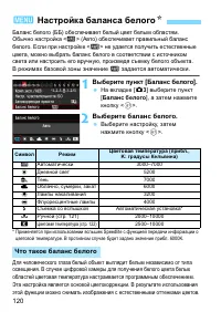 Страница 120