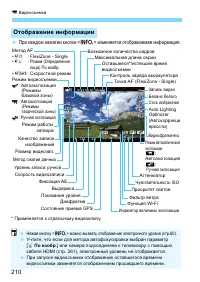 Страница 210